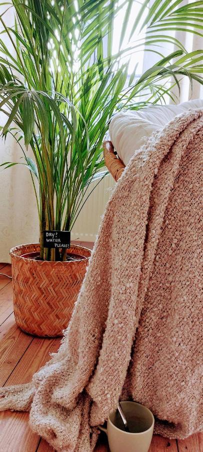 Boho Chic - Your Bohemian Home In Antwerpen Buitenkant foto
